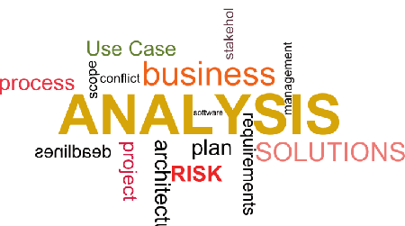 Business Analyst